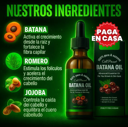 ACEITE DE BATANA RenovaHair™ – Solución Avanzada para la Caída del Cabello